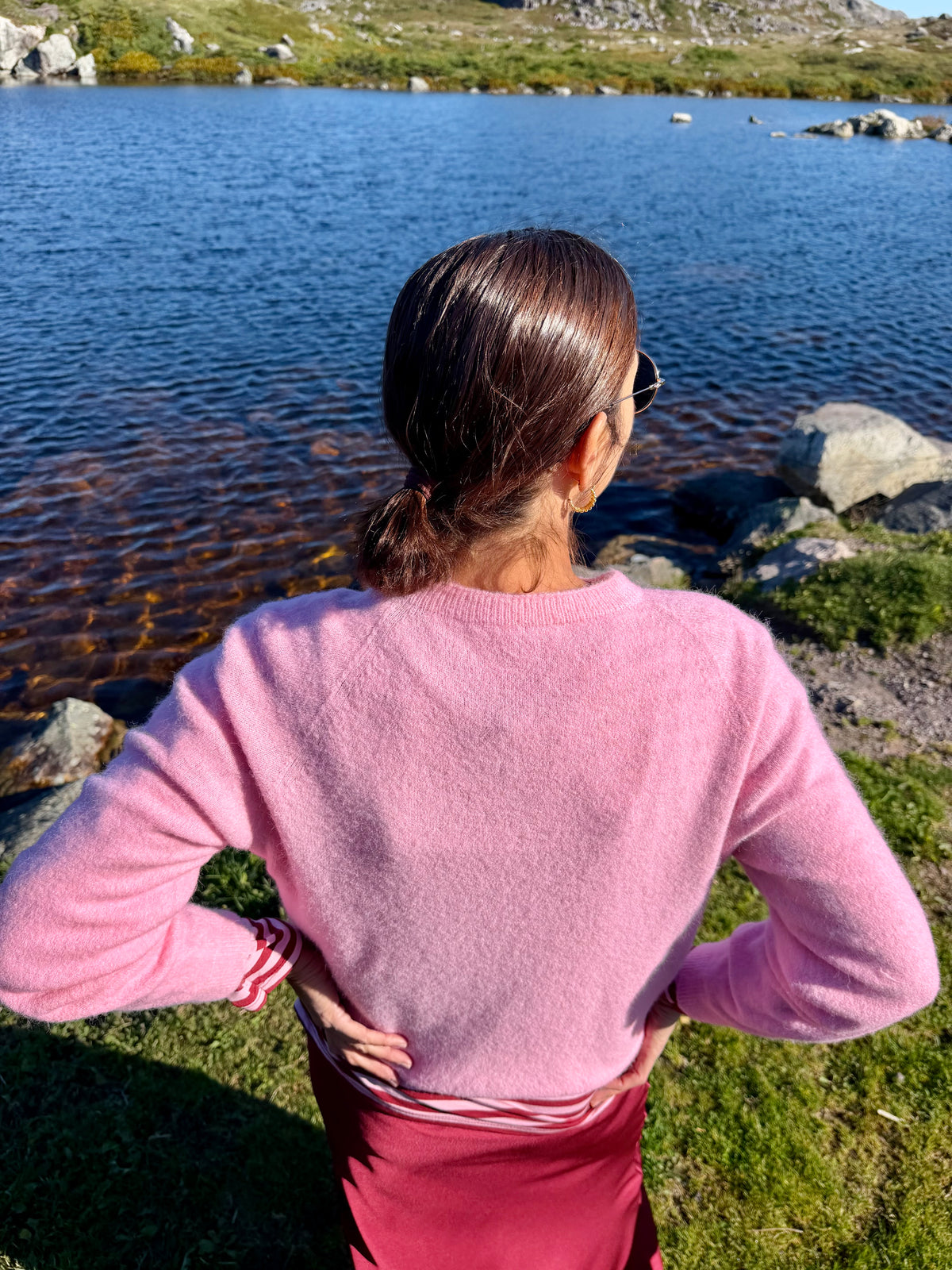 Pull LINDA rose